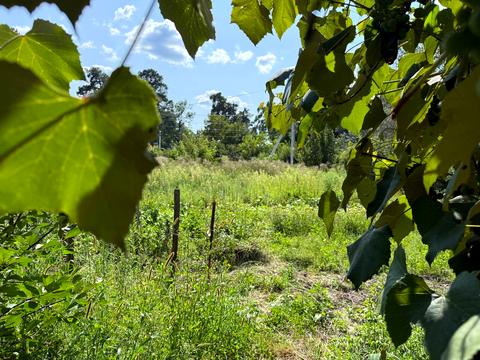 ділянка за адресою 