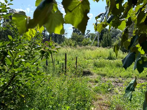 ділянка за адресою 