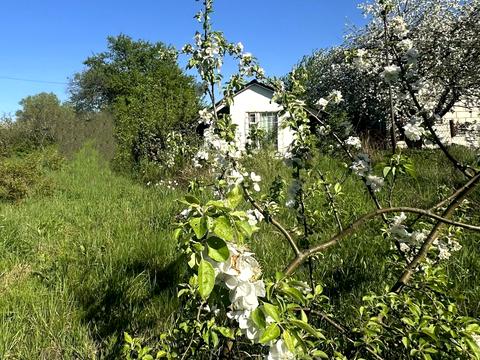 ділянка за адресою 