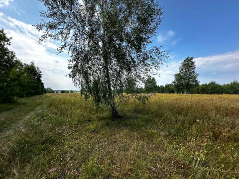 участок по адресу 