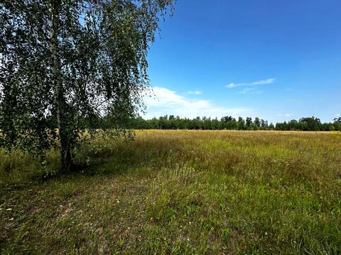 участок по адресу 