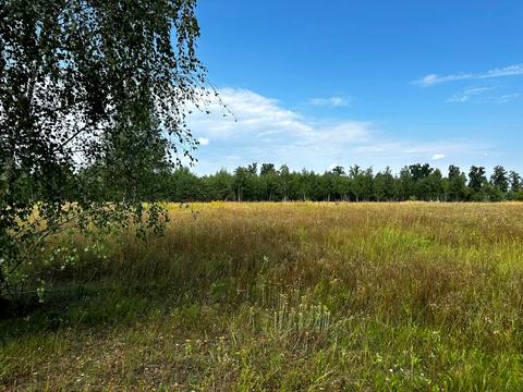 участок по адресу 