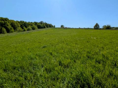 участок по адресу с. Виннички, 