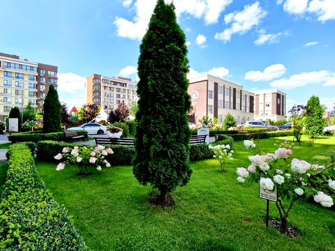 квартира за адресою Михайла Максимовича вул. (Онуфрія Трутенка), 26-В