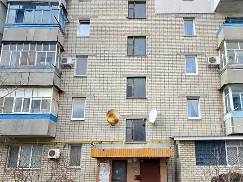 квартира за адресою Олексія Древаля вул. (Петровського), 87