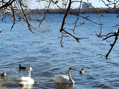 квартира за адресою Сонячна Набережна вул. (Маршала Малиновського), 58