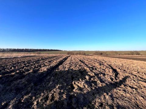 участок по адресу Степана Бандери