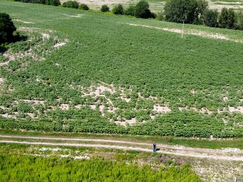 участок по адресу 