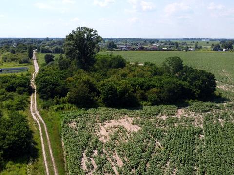 участок по адресу 