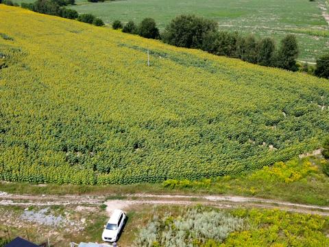 участок по адресу 