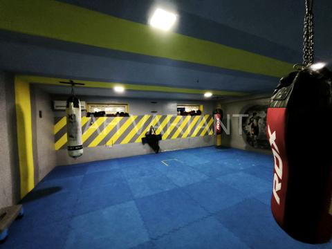 комерційна за адресою Петра Лінтура вул., 10