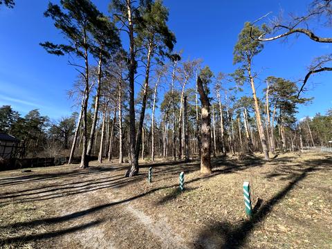 участок по адресу Молодіжна