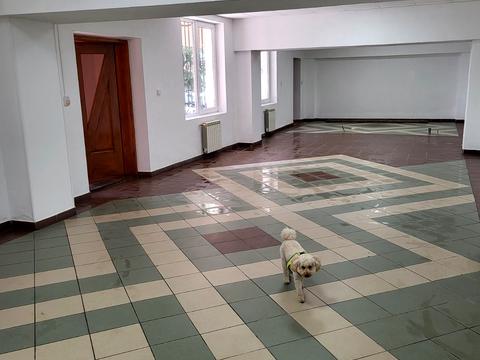 комерційна за адресою Олександра Довженка вул., 6