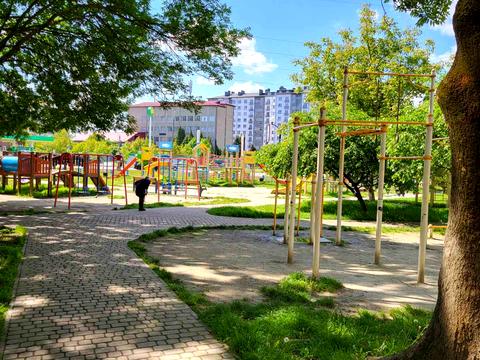 комерційна за адресою Олександра Довженка вул., 6