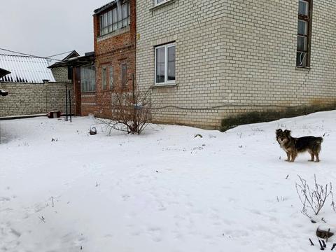 дом по адресу Соколовская ул. (Соколова), 61а