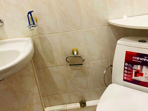 квартира по адресу Леси Украинки просп. (Гагарина), 4