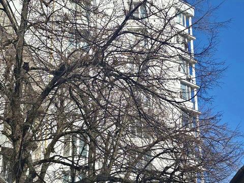 комерційна за адресою Французький бульв., 49А