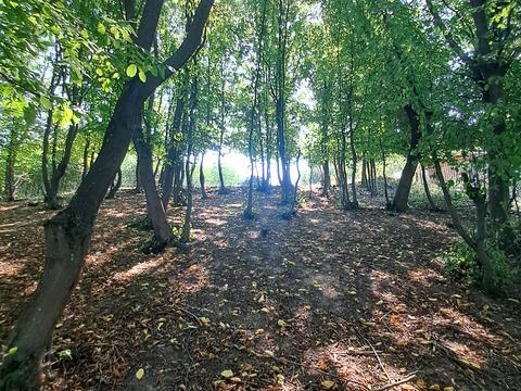 участок по адресу 