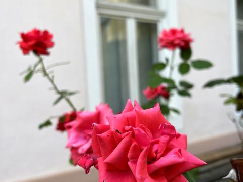 дом по адресу Собранецкая ул., 3