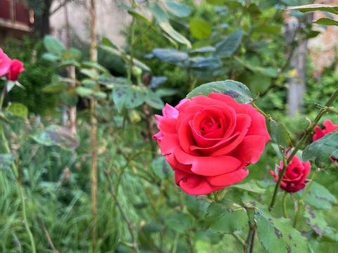 дом по адресу Собранецкая ул., 3