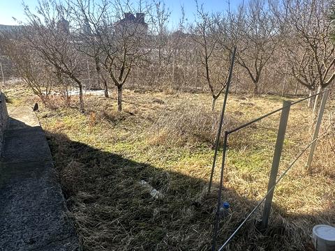 будинок за адресою Шевченка