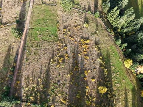 участок по адресу Розчіл