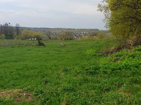 ділянка за адресою Миколи Аркаса, 2