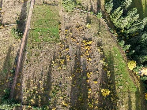 участок по адресу Розчіл
