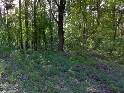 участок по адресу Зазимська