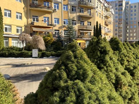 квартира за адресою Валерія Лобановського вул., 13