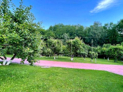 будинок за адресою с. Нові Безрадичі, Тиханська, 34