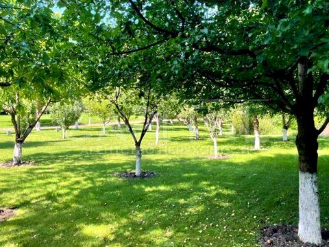 будинок за адресою с. Нові Безрадичі, Тиханська, 34