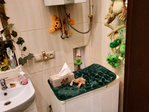 квартира за адресою Олеся Гончара вул., 19