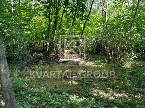 ділянка за адресою Грибна