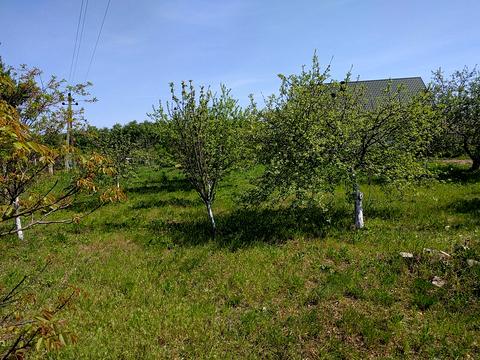 участок по адресу Лісова