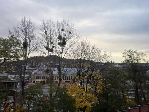 квартира по адресу Клепаровская ул., (Будинок)