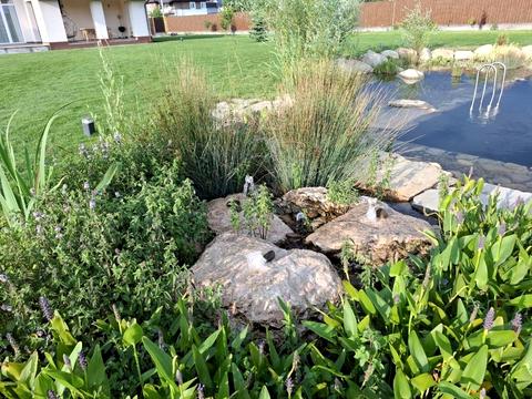 дом по адресу Кедрова, 5