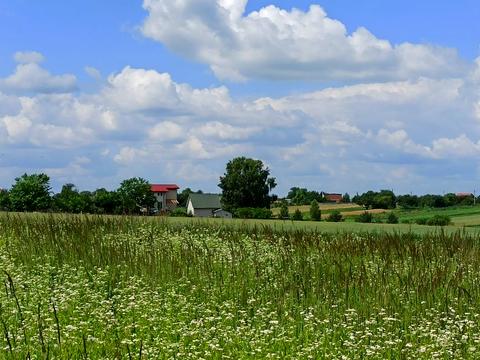 участок по адресу с. Коцуров, 