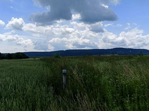 участок по адресу с. Коцуров, 