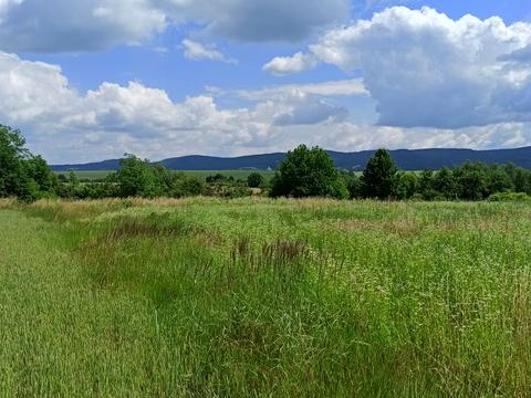 участок по адресу с. Коцуров, 