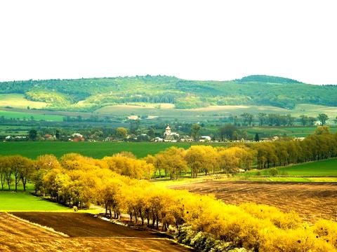 участок по адресу с. Коцуров, 