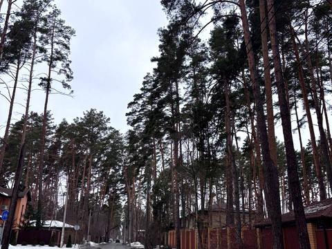 дом по адресу Антония Михайловского ул., 4