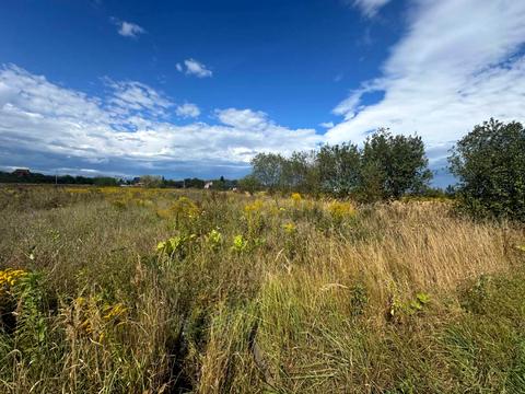 ділянка за адресою с. Крихівці, 