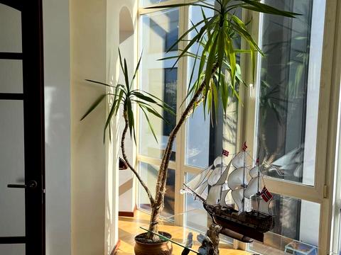 будинок за адресою провулок Вишневий