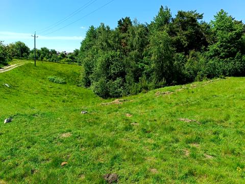 ділянка за адресою 