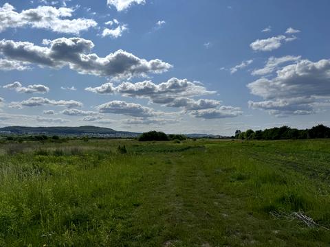 участок по адресу с. Подборцы, 
