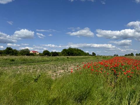 участок по адресу с. Подборцы, 