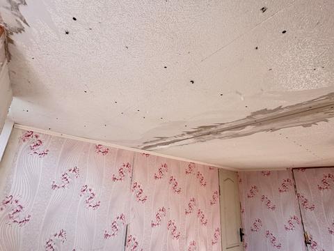 дом по адресу с. Лозовик, Лозовик