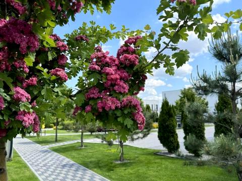 будинок за адресою Корольова вул.