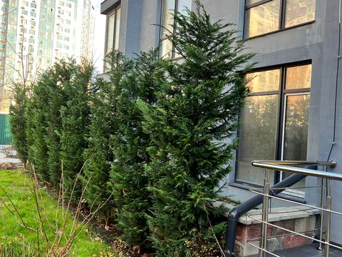 квартира за адресою Марсельська вул., 33/6